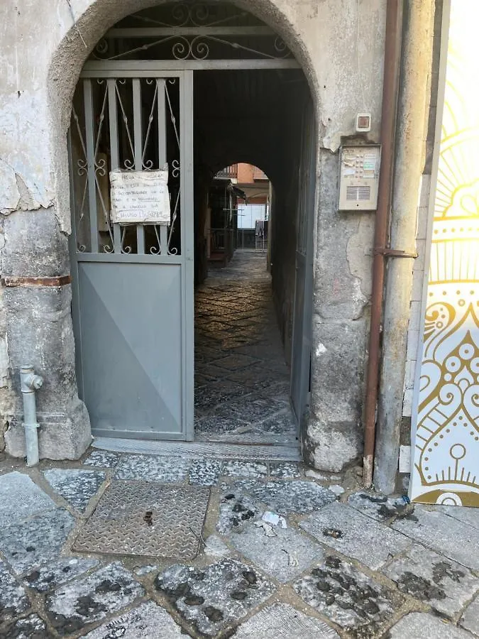 Home Carlotta Naples